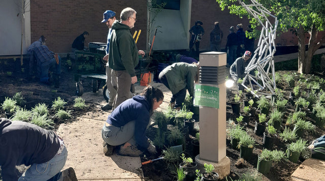 Planting at Saint Louis Community College