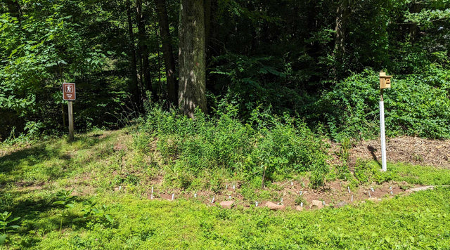 Trailhead garden planted with native perennials from American Meadows at Avon Land Trust