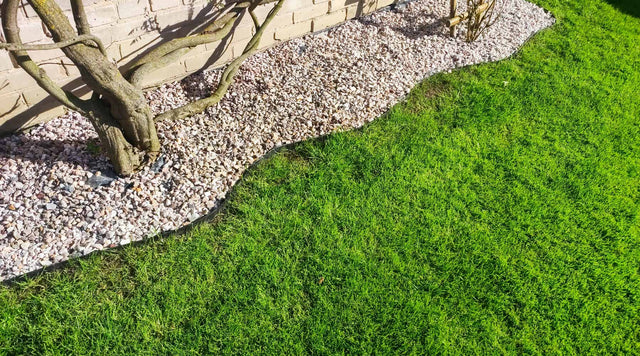 Grass against edging separating stone