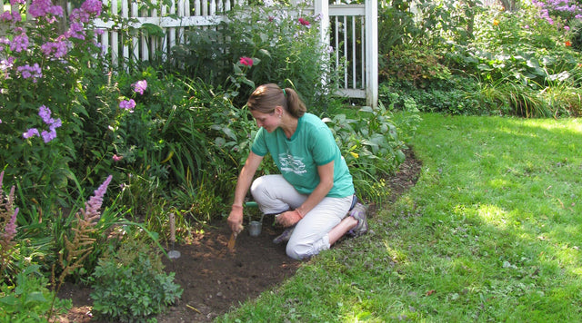 Woman planting in garden bed
