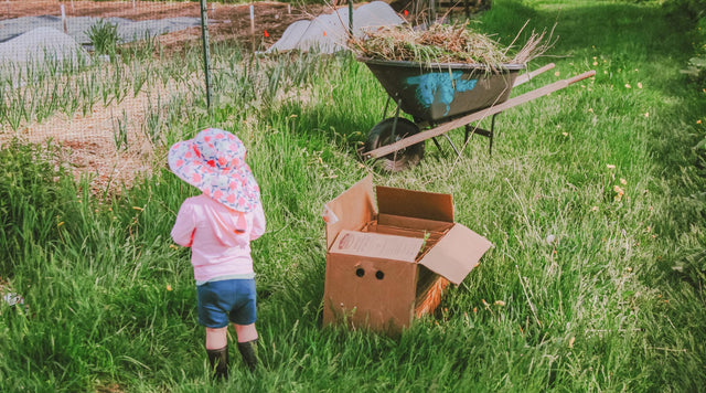 Child standing by cardboard box next to garden bed