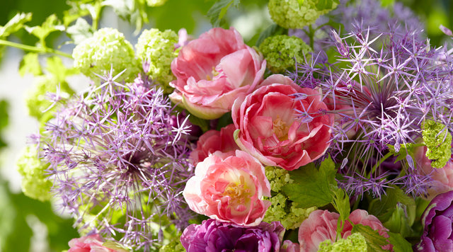 Alliums and tulips in a bouquet