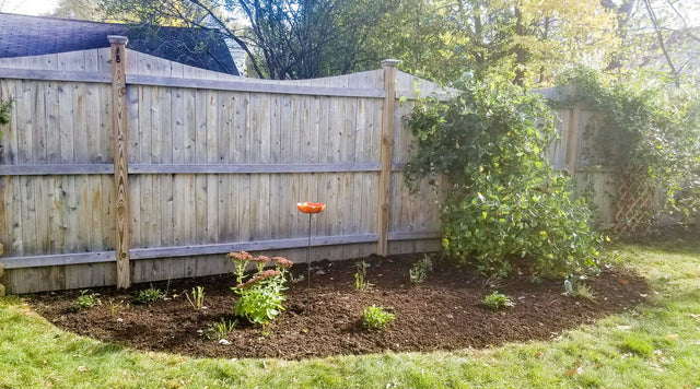 A redesigned garden bed