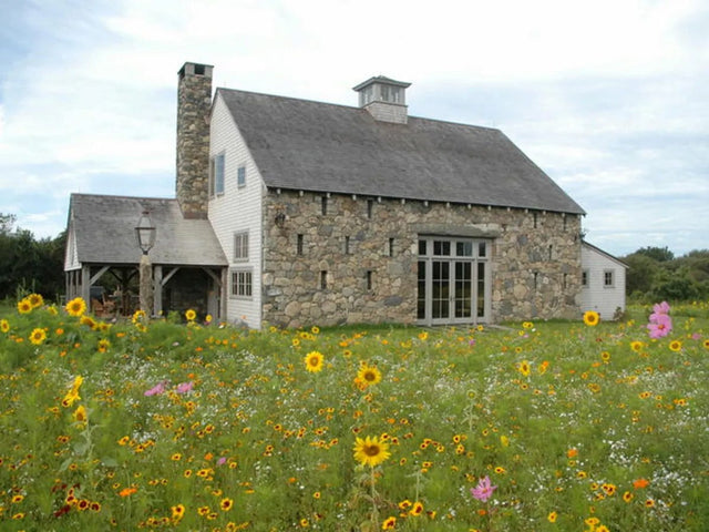 Get This Look: Plant A Wildflower Lawn