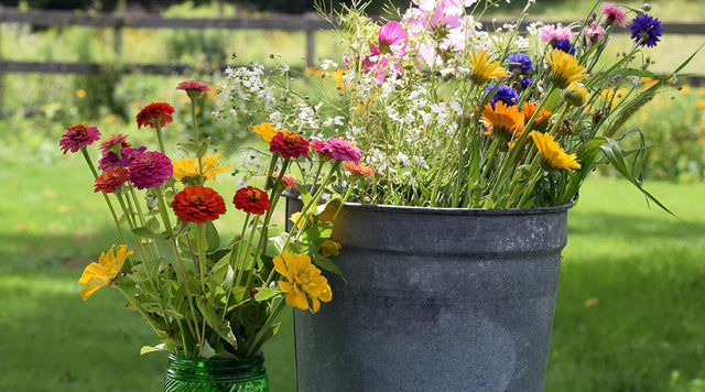 Zinnia bouquets