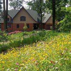 Bestselling Wildflower Seeds