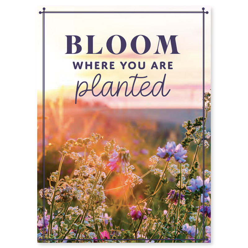 Bloom Where You Are Planted Seed Packet, Seed Favors