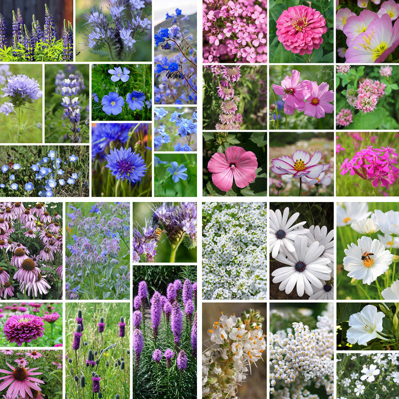 wildflower seeds quilt Cool Color Wildflower Seed Patchwork | Blue/Pink/Purple
