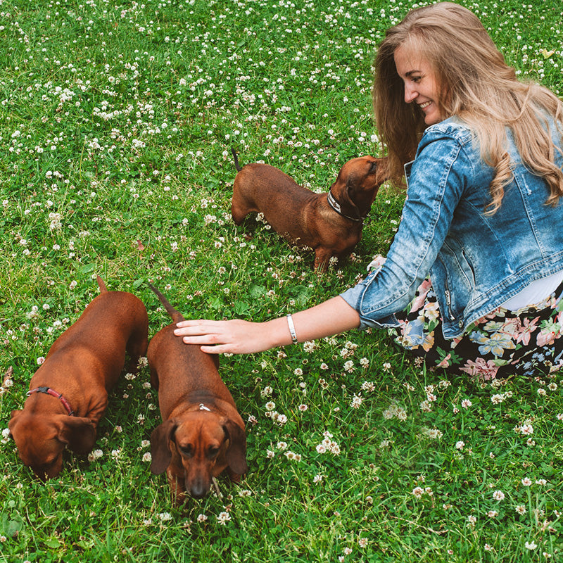 planting grass seed with dogs Pet Paradise Lawn Seed Mix
