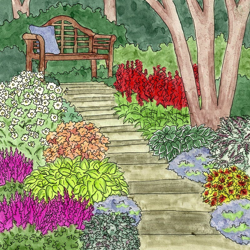 Vibrant Shade Pre-Planned Garden, Small | American Meadows
