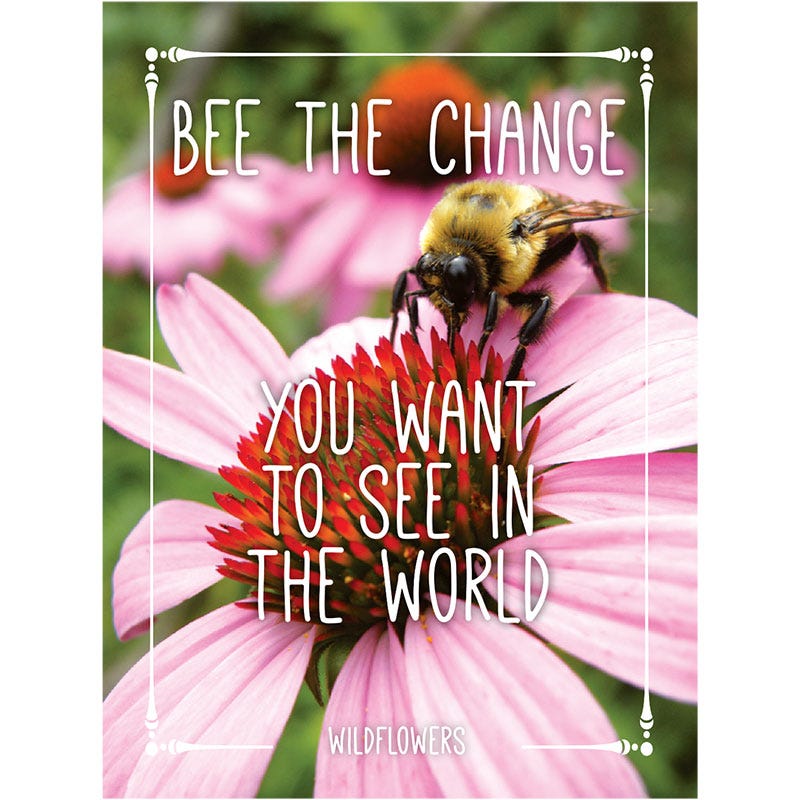 plant these seeds to save the bees Bee the Change Seed Packet by American Meadows