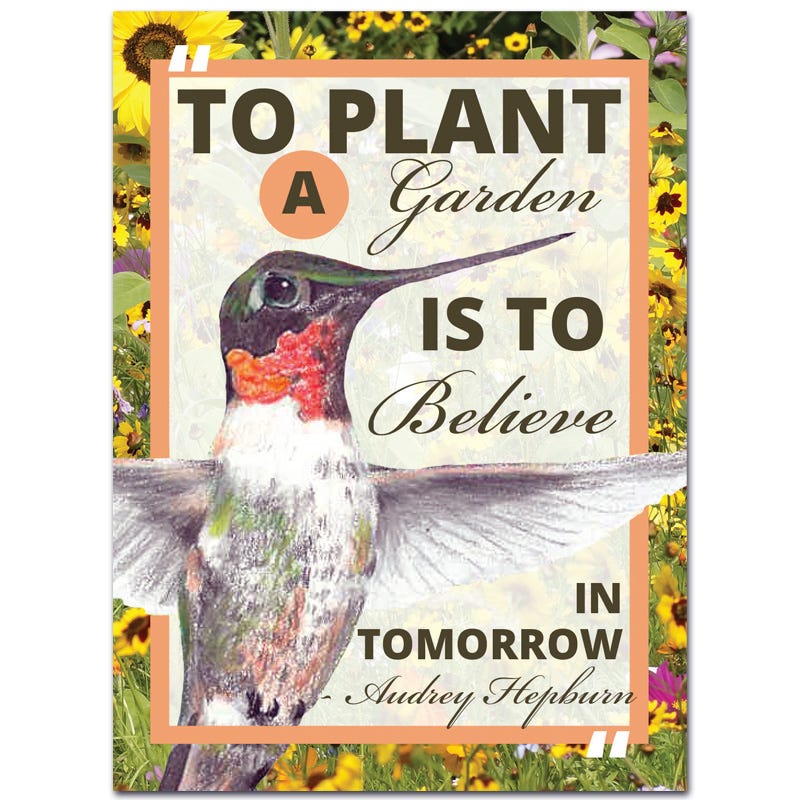 planting a seed is believing in tomorrow Believe In Tomorrow Pollinator Seed Packet by American Meadows