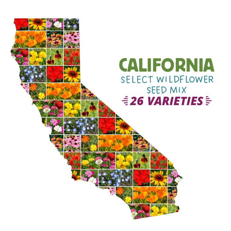 wildflower seed calculator California Select Wildflower Seed Mix