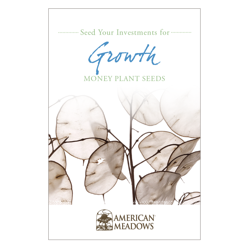 money plant seed packets Seed Your Investment for Growth Seed Packet by American Meadows