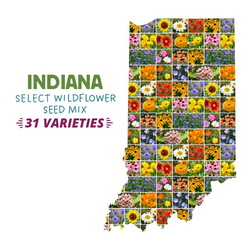 Indiana Select Wildflower Seed Mix | 5 lb by American Meadows