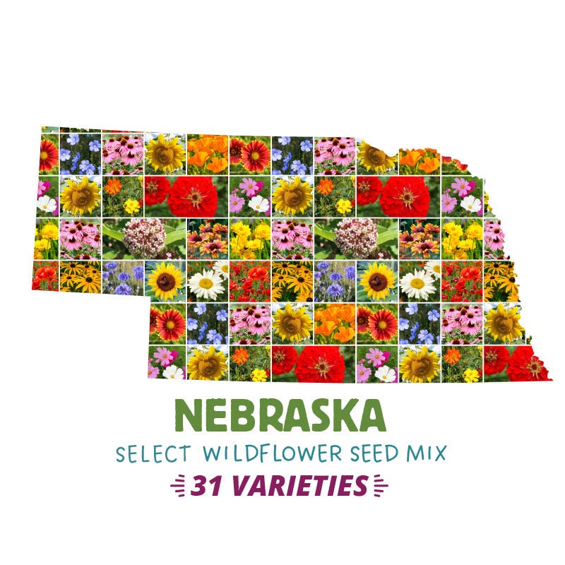 nebraska native wildflower seeds Nebraska Select Wildflower Seed Mix