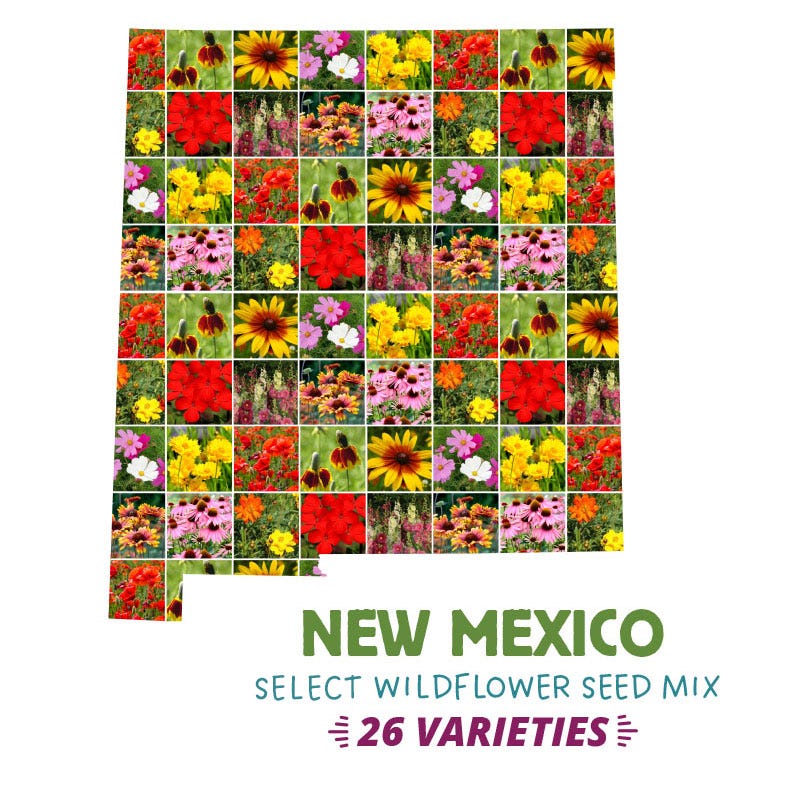 new mexico native wildflower seeds New Mexico Select Wildflower Seed Mix