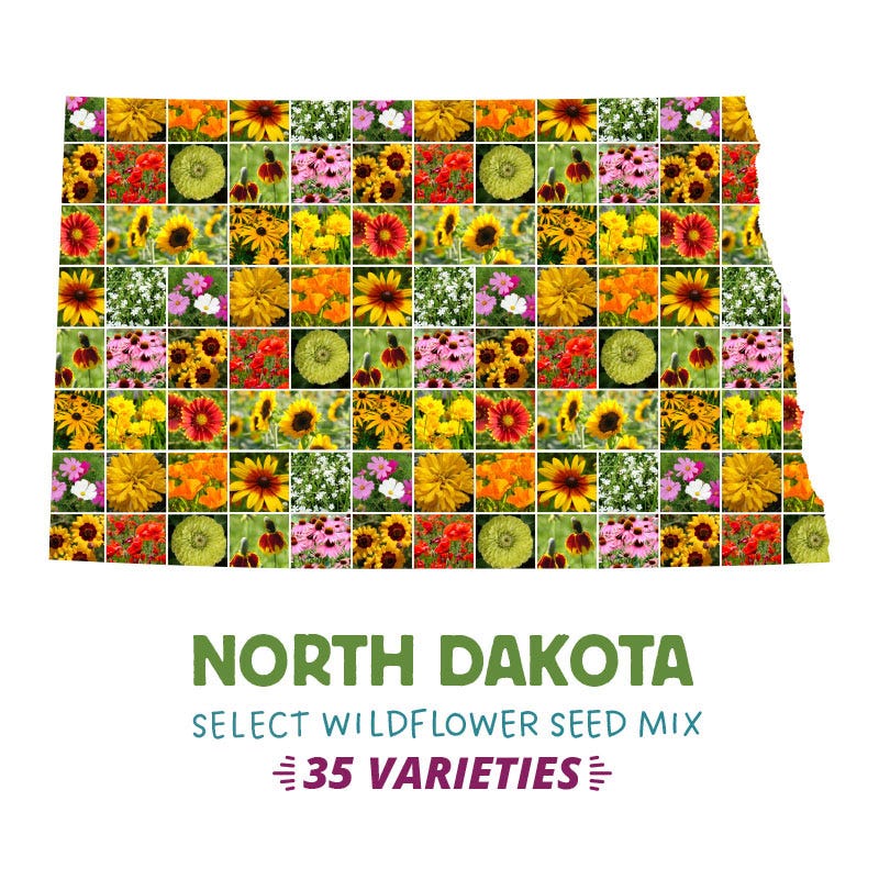 north dakota wildflower seeds North Dakota Select Wildflower Seed Mix