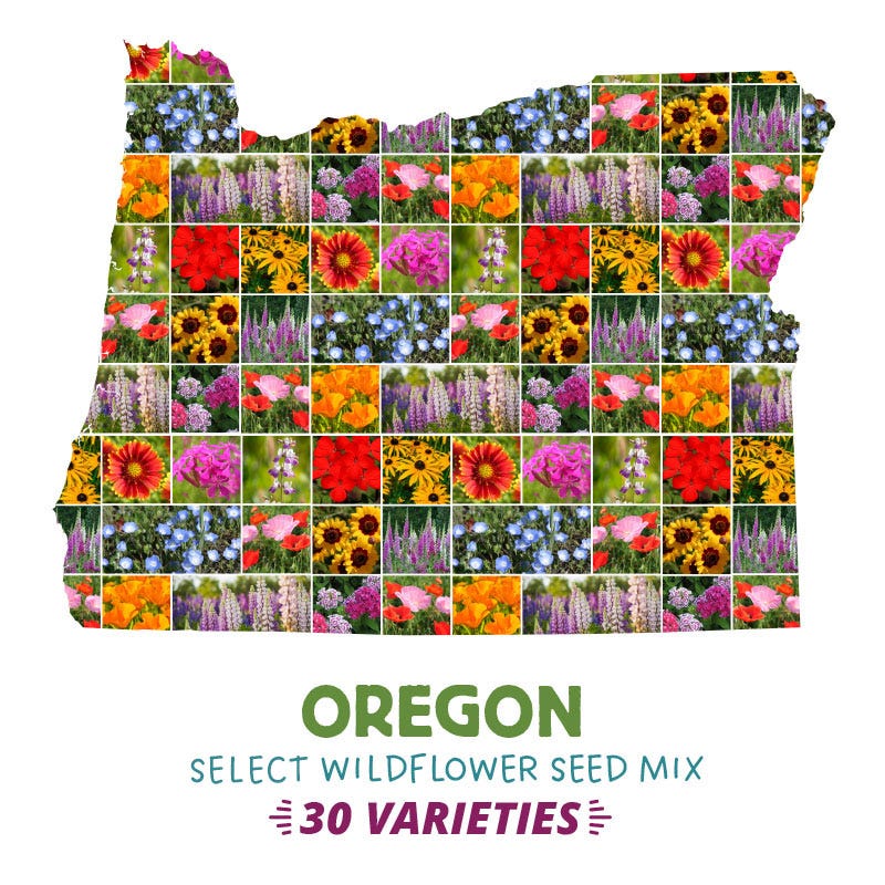 flower seeds oregon Oregon Select Wildflower Seed Mix