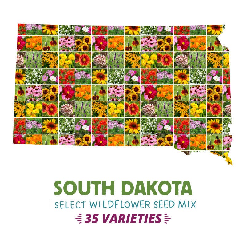 south dakota wildflower seeds South Dakota Select Wildflower Seed Mix