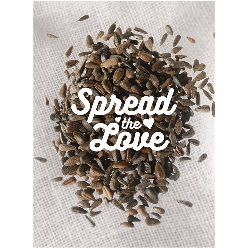 individual flower seed packets Spread The Love Seed Packet, Seed Favors
