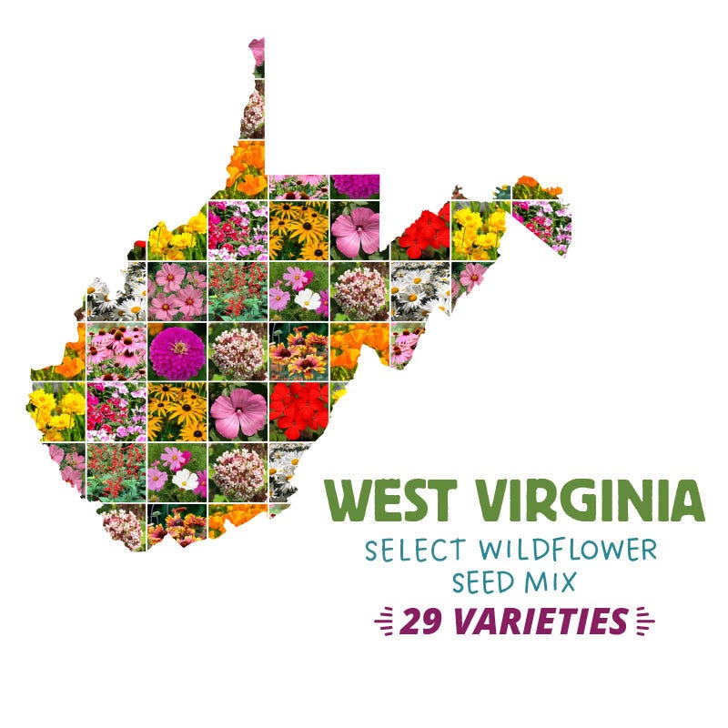 west virginia wildflower seeds West Virginia Select Wildflower Seed Mix