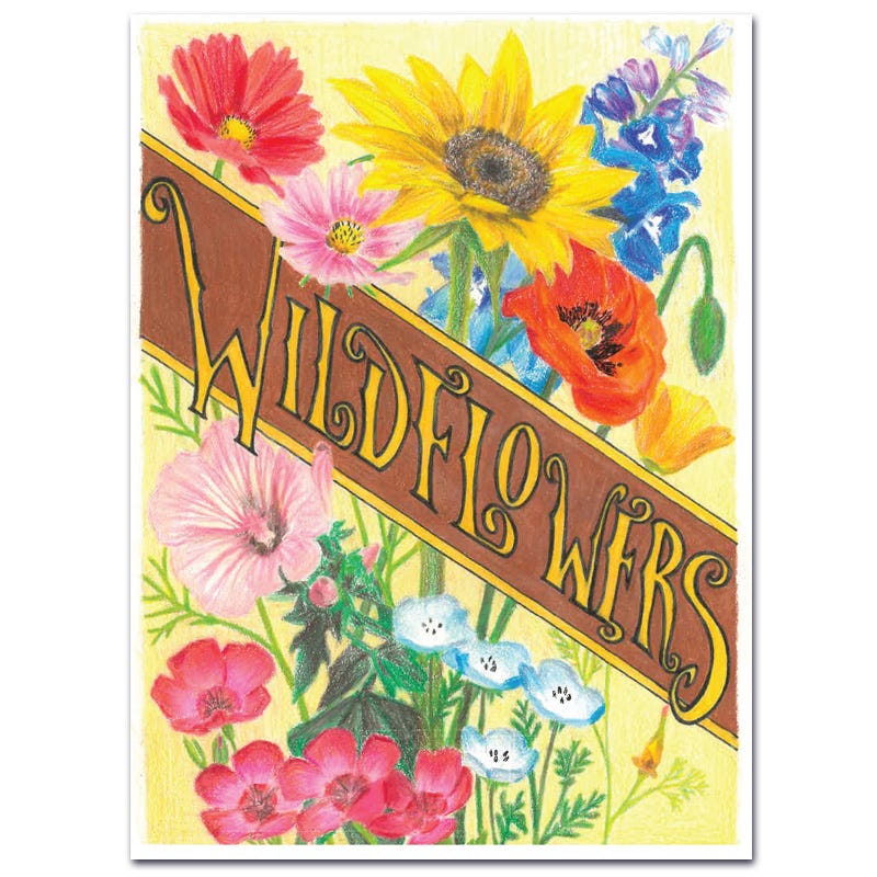 old flower seed packets Wildflowers Seed Packet by American Meadows