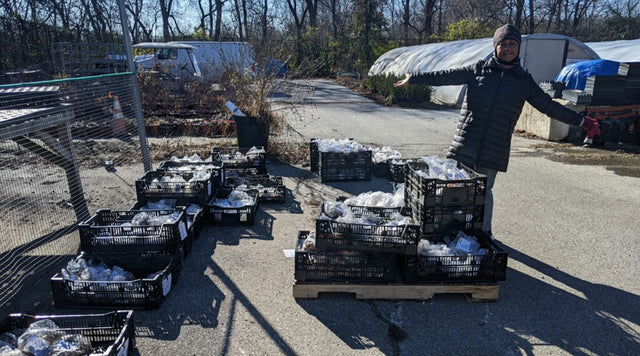 Donation of bulbs for PHS