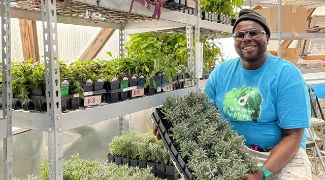  Urban Growers Collective - Perennial donation