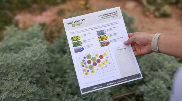 Person holding American Meadows Pre-Planned Garden plan in hand