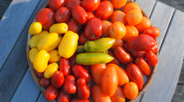 Bowl of cherry tomatoes