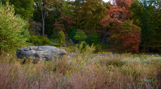 new york botanical garden