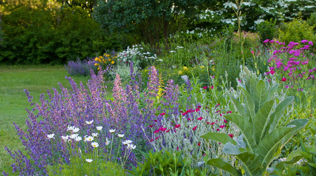 Summer garden