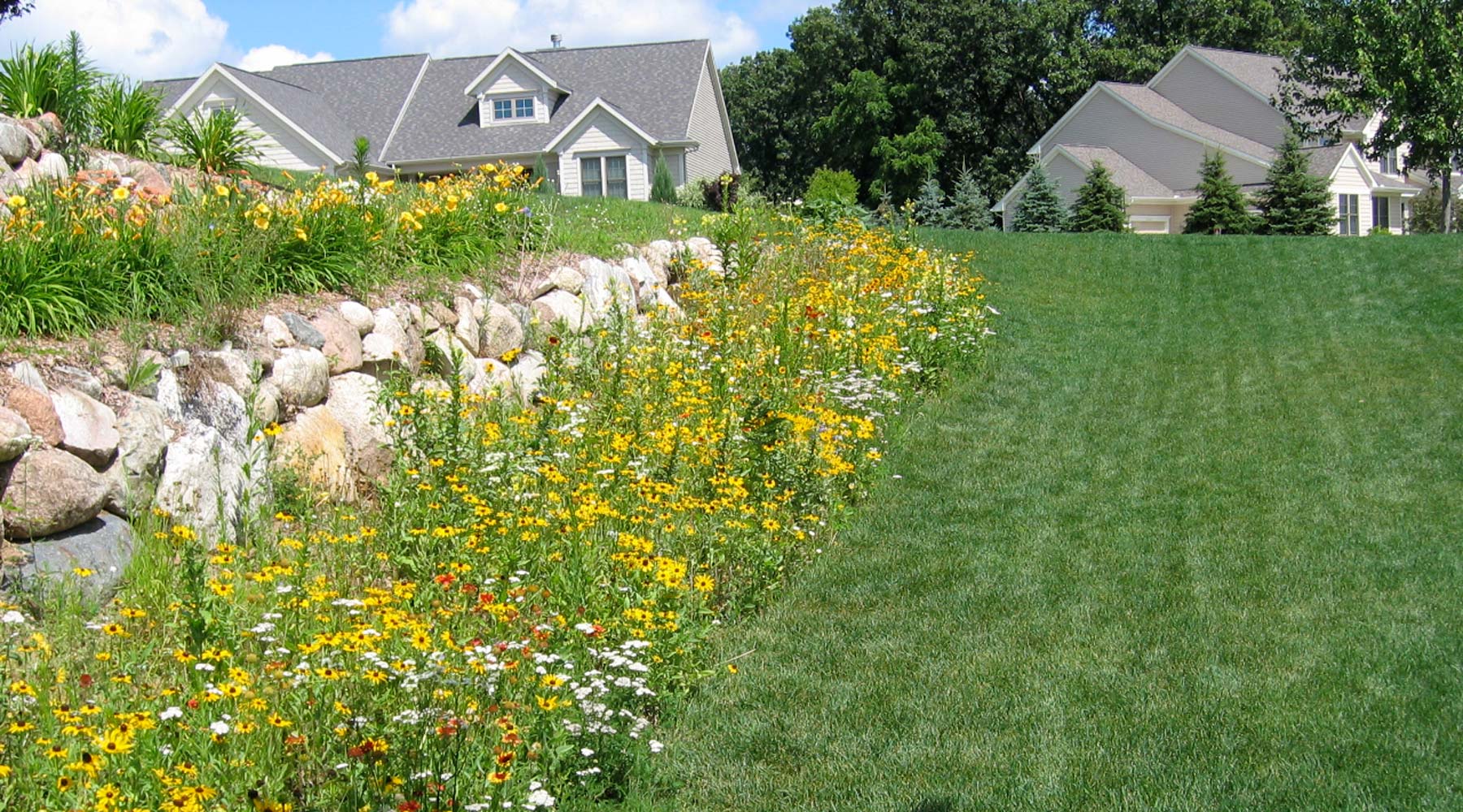 Easy-Care Borders of Wildflowers in Michigan