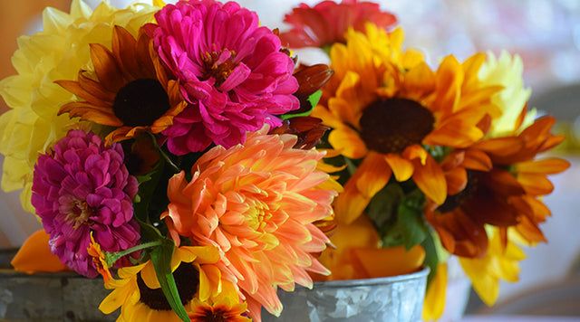 Bouquet with Dahlias, Zinnias, and Sunflowers