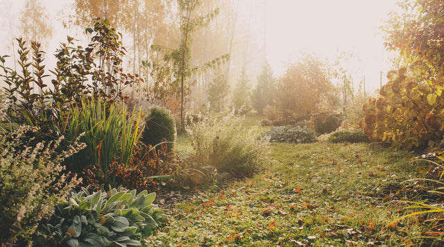 Fall Garden