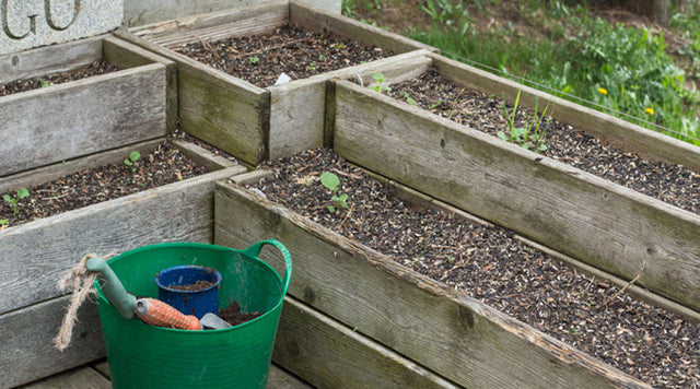 Tired soil in a container garden can be re-charged before planting.