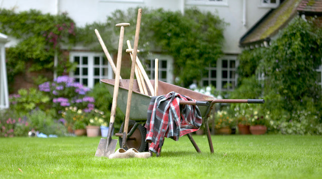 Garden tools and wheel barrow 