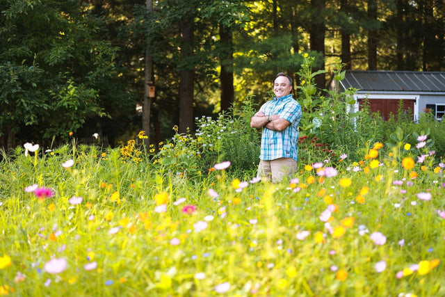 Seedman standing in wildflower meadow with yellow and pink blooms, red shed and trees in background