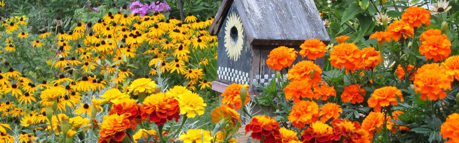 perennial garden with a bird house 