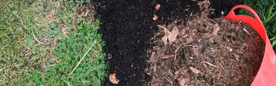 How To Improve Garden Soil