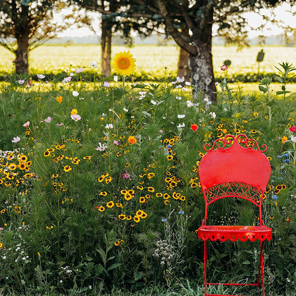 Exclusive Wildflower Seeds, Perennial Plants, and Flower Bulbs