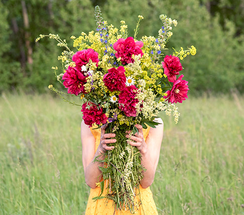 Woman holding a perennial bouquet in a field
