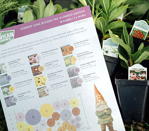 paper planting guide for a pre-planned garden
