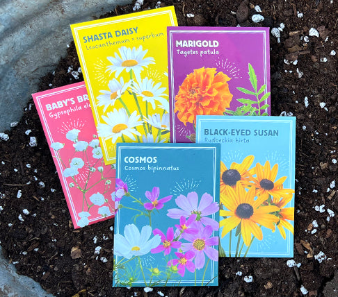 variety of wildflower seed packets lying on soil