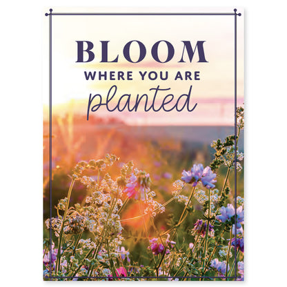 Bloom Where You Are Planted Seed Packet, Seed Favors
