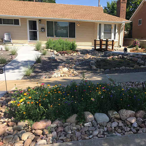 Heavenly Hell Strip Wildflower Seed Mix- Customer Review Photo from Jackrabbit