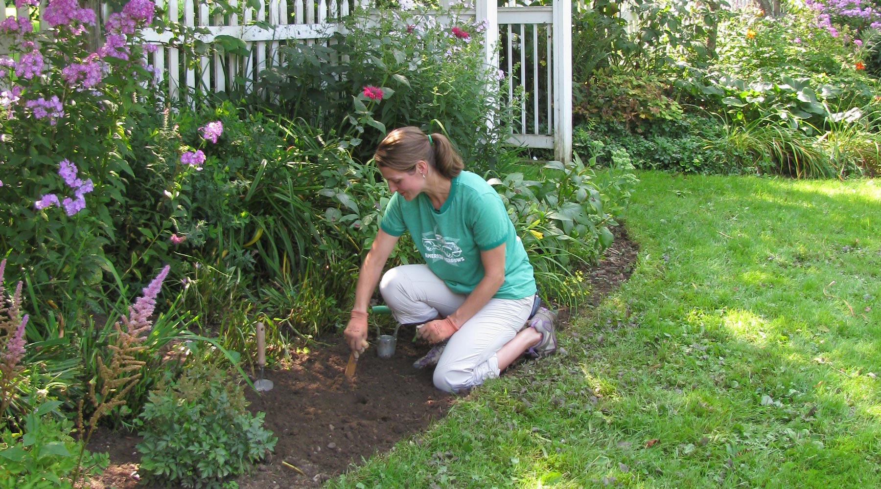 How to Fix Slow Seed Germination in Your Garden: Expert Tips