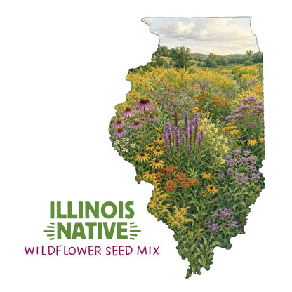 Illinois Native Wildflower Seed Mix