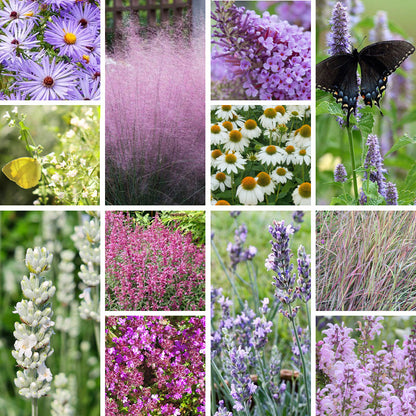 Lavender Cottage Pre-Planned Garden